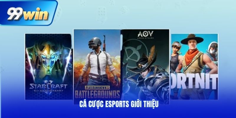 Cá cược Esports giới thiệu