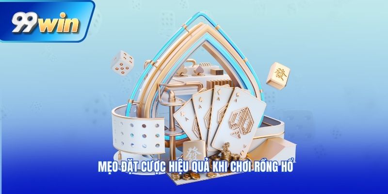 Mẹo đặt cược hiệu quả khi chơi Rồng Hổ